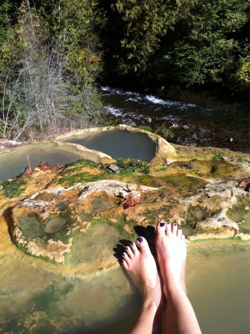 sixpenceee:The above is Umpqua Hot Springs located in Oregon, United States. (Source)