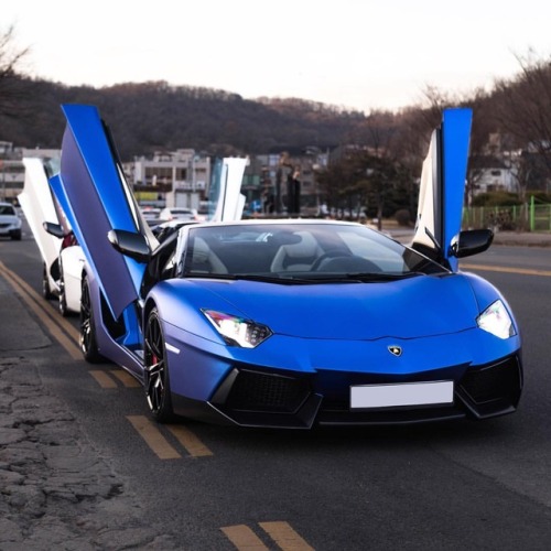 aventador galore  @RoyalCarsMG Official Photographer - #lamborghini #aventador #람보르기니 #아벤타도르 (at Sou