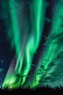 wnderlst:  Yellowknife, Canada | Tomax Hui                  