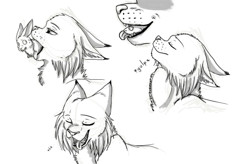 nekomata-carnivoreanimal-fujoshi:  Tsuki loves bunnies ♥ 