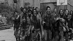 empressmcbride:  TWD Meme: 4 Quotes↳ [ 2/4 ]“We survive this by pulling together,