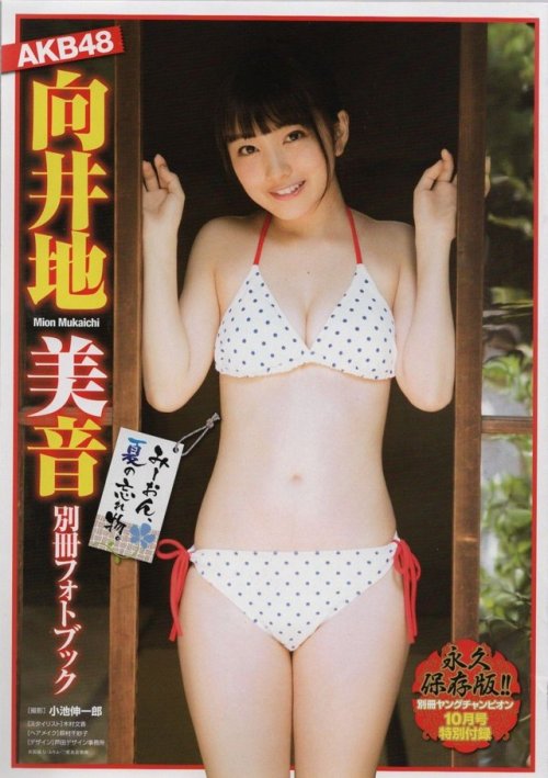shunjpn4846:  別冊ヤングチャンピオン 2017年10/15号 (2017/9/5)Part. IAKB48 向井地美音 別冊フォトブック (特別付録)