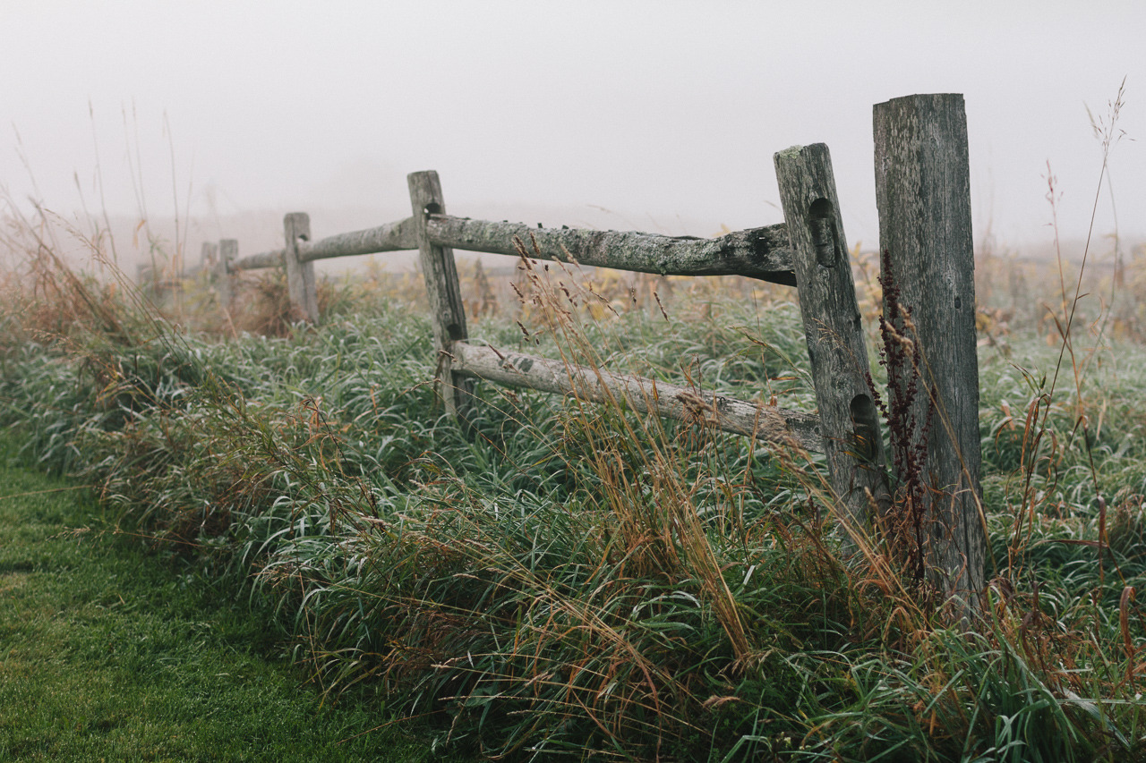 Autumn morning mist • Stowe, VT