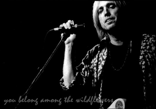 you belong with your love on your armyou belong somewhere you feel freeTom Petty