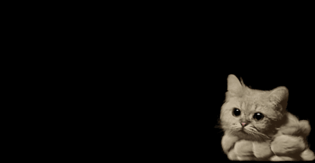 ragecomics4you:  Cumolopussyhttp://ragecomics4you.tumblr.com