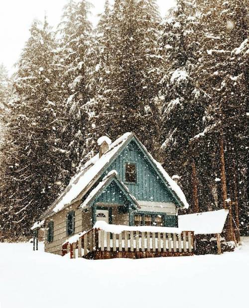 thecabinchronicles: Dreaming of a white Christmas.  Photo: @jqgunderson, Silverton, WA #thecabinchronicles 