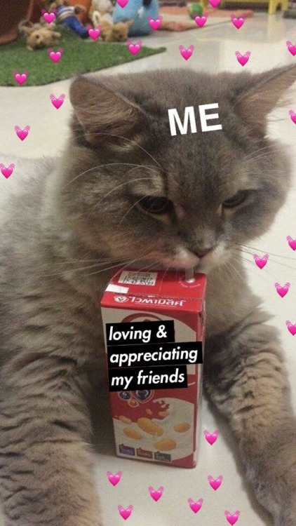 ilobcute: my fav drink