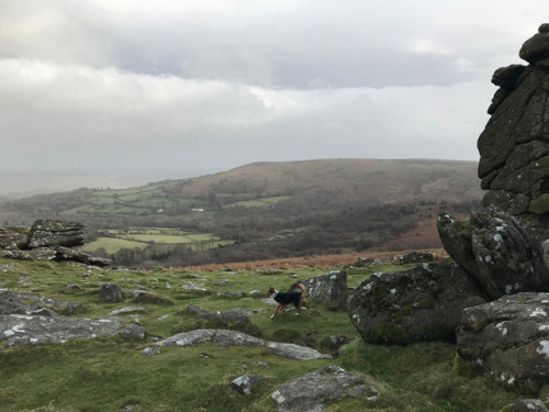 brionymaysmith:A walk on Dartmoor with the doghttps://www.instagram.com/brionymaysmith/