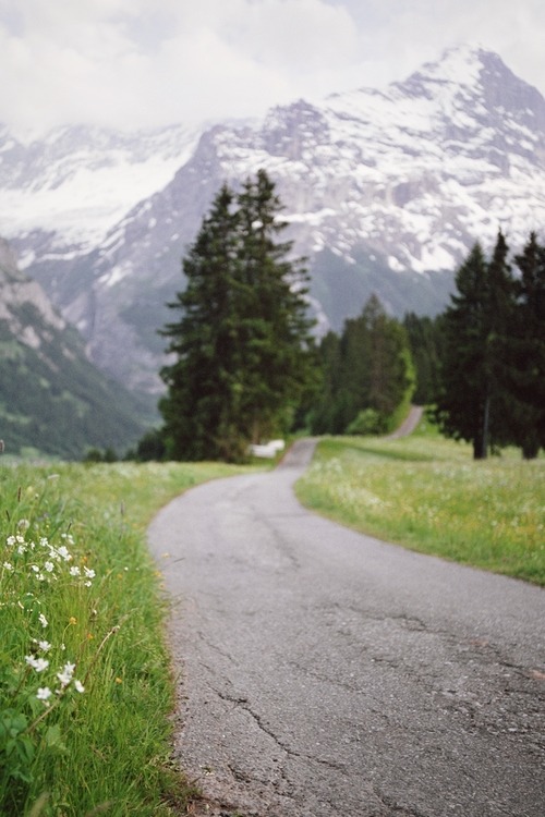 0rient-express:  all you need is a path | by Danielle Hughson. 