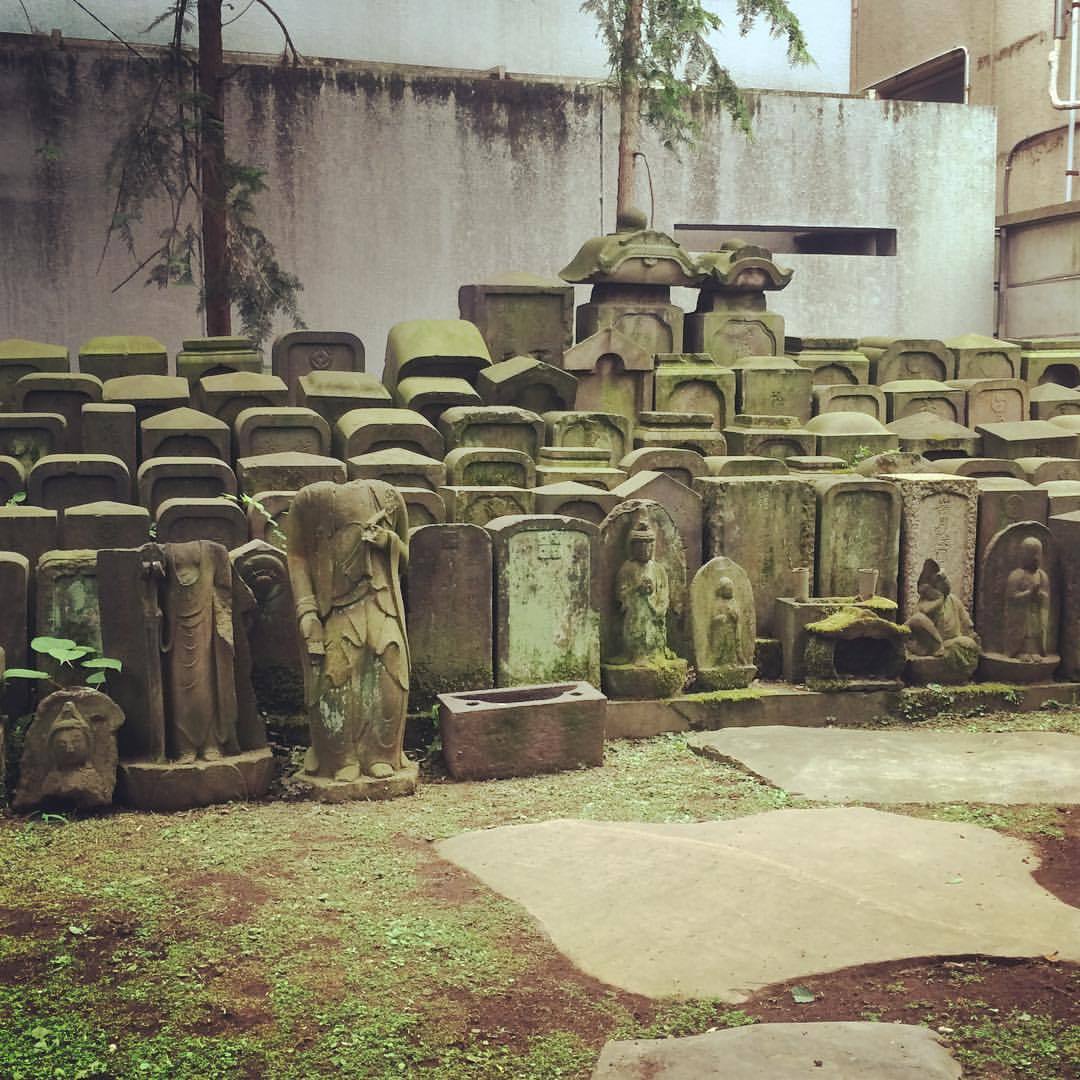walkingbikingjapan:  Rinsho-in Temple, Yushima. #temple #tokyo #tokyowalk #cemetery