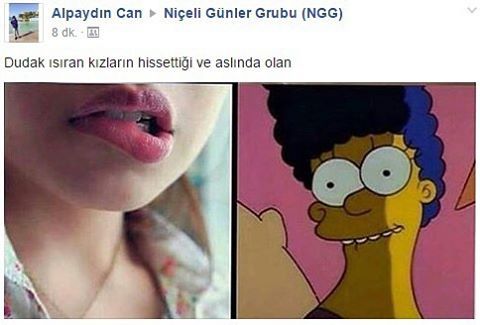 Alpaydın CaNiçeli Günler...