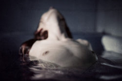 xxx tumblr
