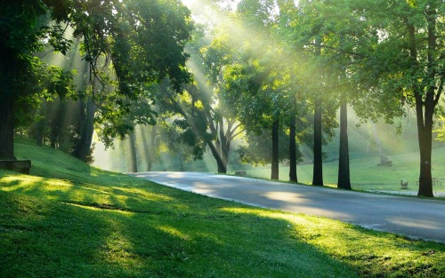 “Si vous voulez voir la nature belle et vierge comme une fiancée, allez là par u