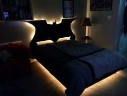 theclearlydope:  That’s a super cool bed