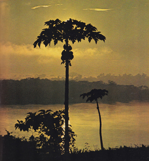 24kblk:exploring the amazon by national geographic society, 1970