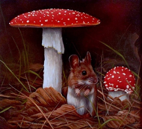 Carl Whitfield Harvest Mouse alongside Wild Mushrooms 