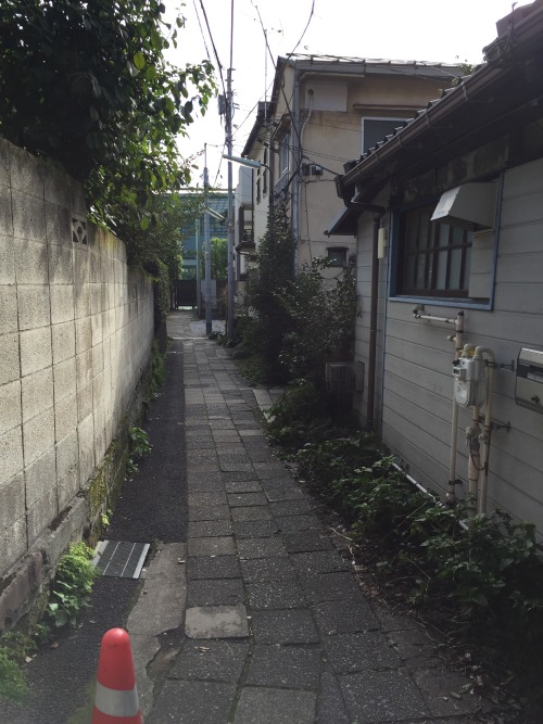 Sex jskrilla:  Tokyo Street Snap 11/17/15  pictures