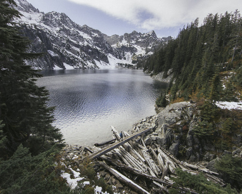 morgan-phillips:Snowlake