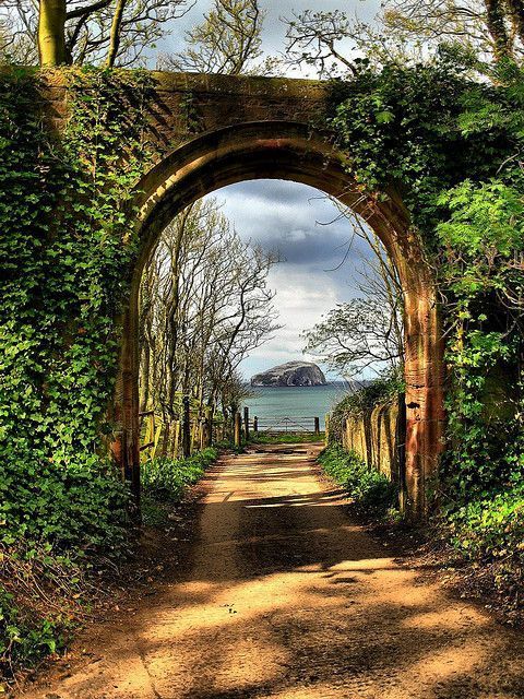 bonitavista:Firth of Forth, Scotlandphoto via fairyhill