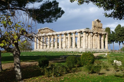 ateneanike: Templo de Atenea en Paestum, Italia. Tiene 6 columnas frontales por 13 laterales. La pr