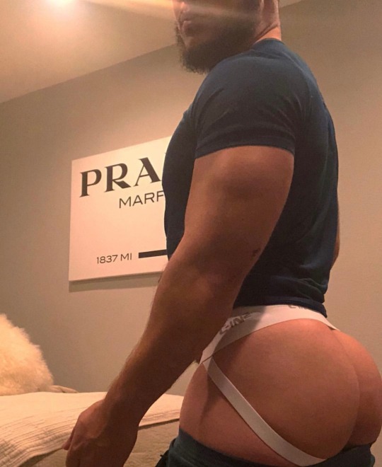 zaddygenes:  