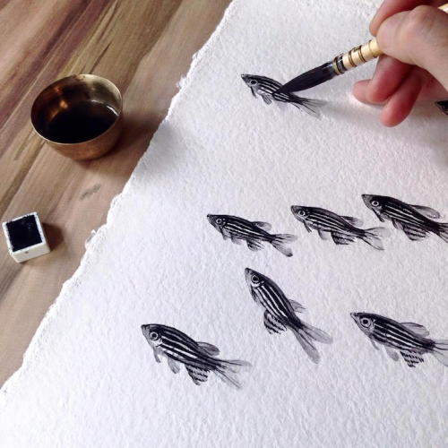 mymodernmet:  Delicate Fish Paintings Express Artist Niharika Hukku’s Elegant Vision of the World 