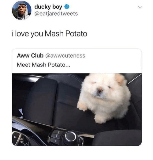 daddyspinkhairedprincess:  the-skeleton-queen:  jai-paul: are you fucking kidding me its him its mash potato   I can die now.