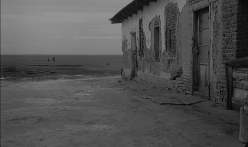 thomascliffe:Sátántangó (1994, Béla Tarr) - Selection Two