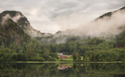 photosofnorwaycom:Meanwhile at the Norwegian farm, Norway http://flic.kr/p/vEBAkU