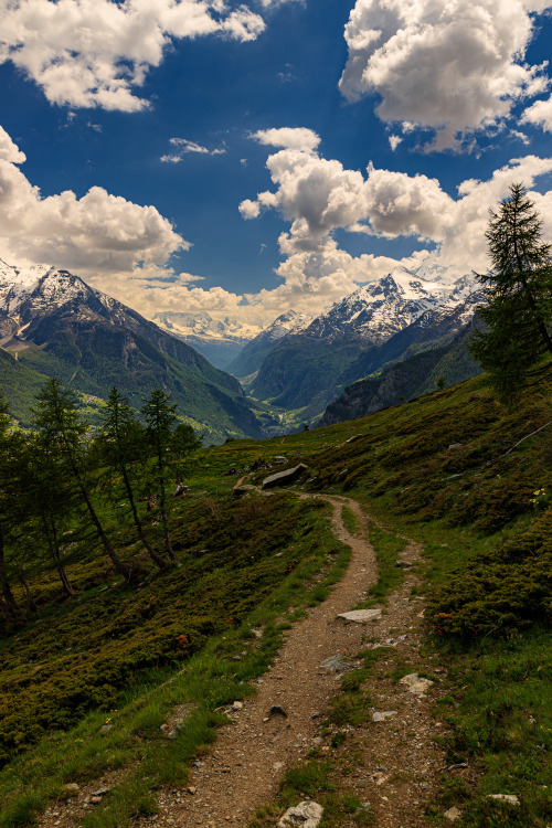 Nature-Hiking:    Trails Of The Ahr 20/?   - Alpine Haute Route, June 2021Photo By: