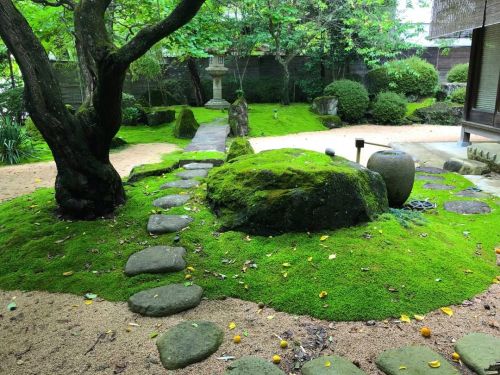 ⛳1755. 慈雲寺庭園 ② Jiunji Temple Garden, Shimosuwa, Nagano ーータイプの異なる３つの名園。武田信玄作庭説もある池泉庭園に京都 #植音 が手掛けた石庭、