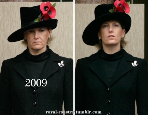 Countess of Wessex National Service Of Remembrance 2010 - 1999