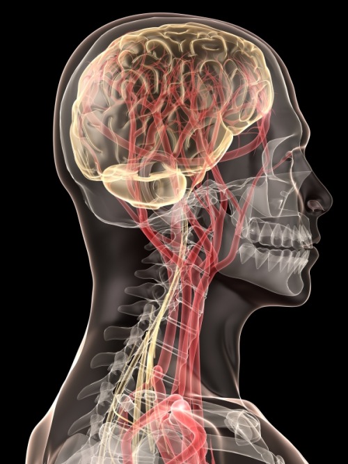 peashooter85:The Bloody Red Baron’s traumatic brain injury, The issue of head trauma and brain injur