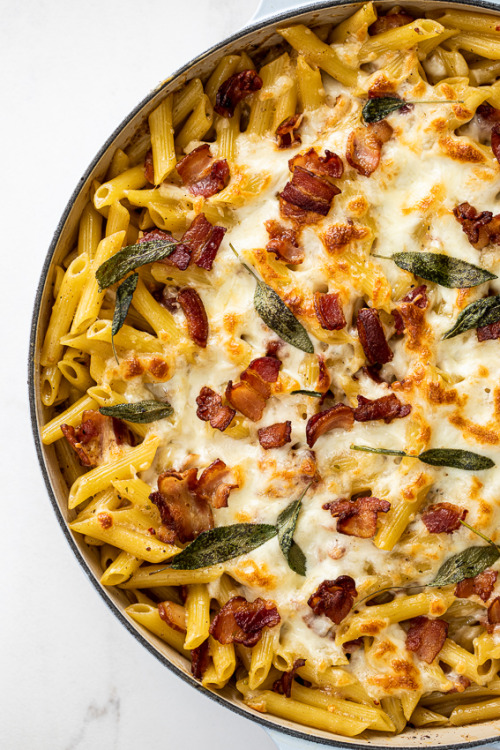 foodffs:  Creamy bacon pasta bakeFollow for recipesIs this how you roll?