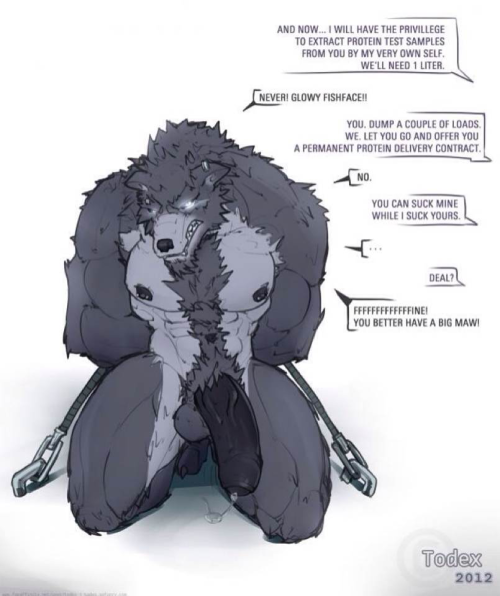 brjefrco:  Wolves for anon 