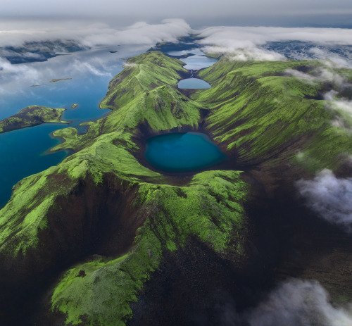 rhubarbes:  Iurie Belegurschi Photography 