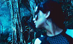 mistakingloveforlaughter:  chrrycola: The 75th Hunger Games, also known as the third