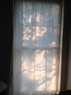 matissechick:The light in my room did a thing