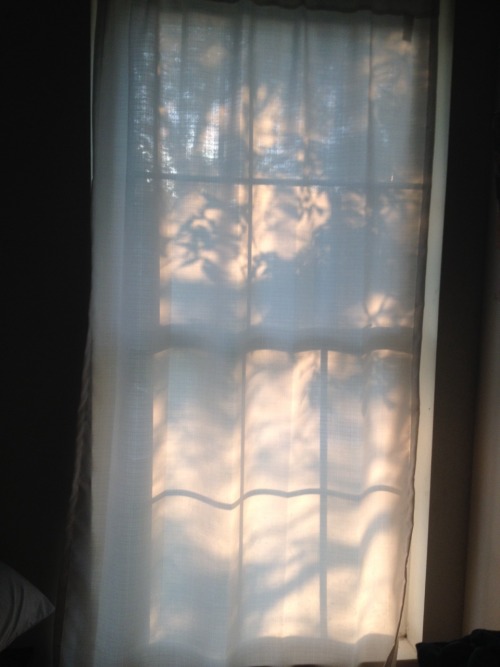 matissechick:The light in my room did a thing