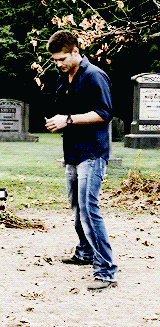 angelinasjoli:  dean winchester + bowlegs 