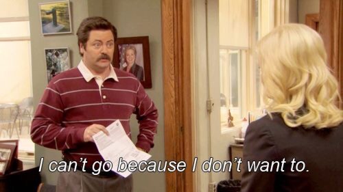 Ron Swanson and I are perfect for each other