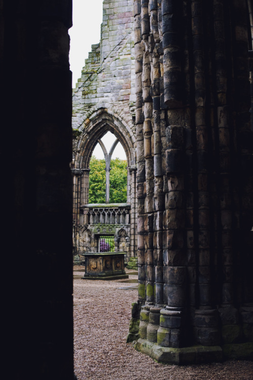Eeerie and still, the bones of Holyrood Abbey, adult photos