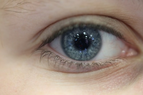 loverpng:A quick colage of everyones eye I’ve photographed. 