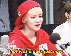 oh-luhans:  luhan’s introduction on younha starry night 