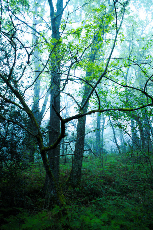 In the lonely morning by Marjorie Chamillard