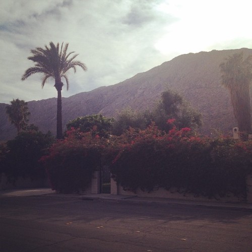 well hello there beautiful  #palmsprings  (at Downtown Palm Springs)