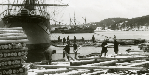 The 3-masted barque Dorothy (laid down 1894) loading lumber somewhere in Norway abt. 1894-97Found at
