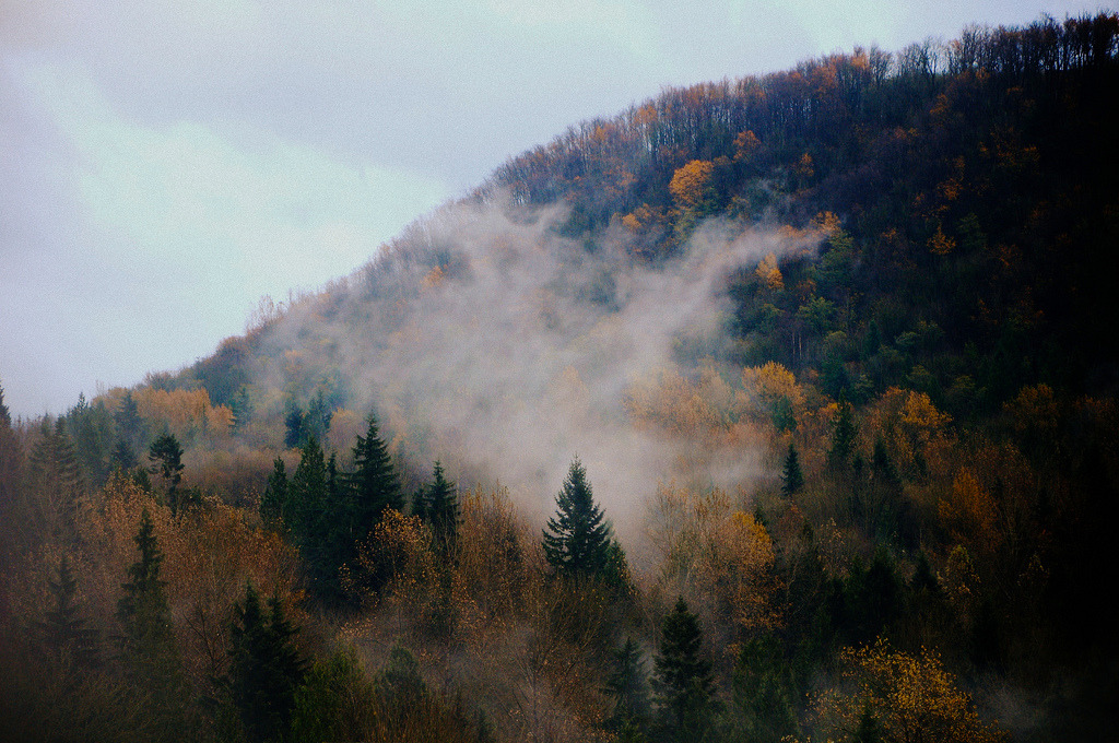 brutalgeneration:  (by Michellisphoto) 