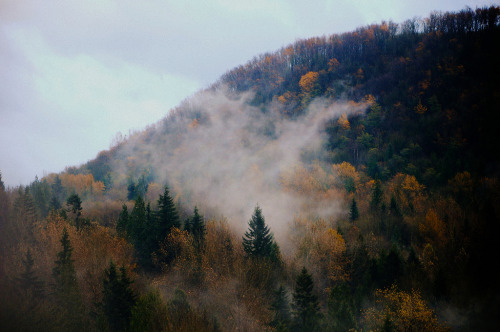 brutalgeneration:  (by Michellisphoto) 