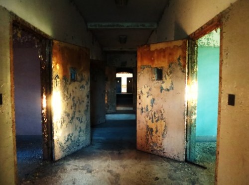 odditiesoflife:   Abandoned Building 25 at Creedmoor Psychiatric Center Located in Queens Village, New York, Building 25 at the Creedmoor Psychiatric Center has sat abandoned and rotting since 1974. While all of the other buildings of the facility were